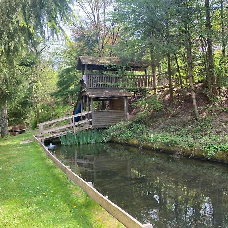 Hotel-Restaurant Theis-Muehle Biersdorf am See ภายนอก รูปภาพ