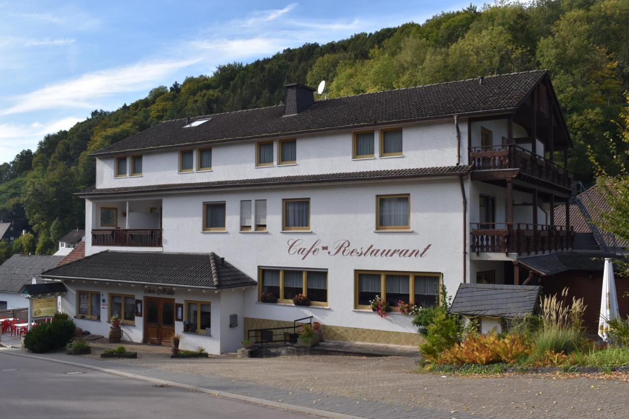 Hotel-Restaurant Theis-Muehle Biersdorf am See ภายนอก รูปภาพ