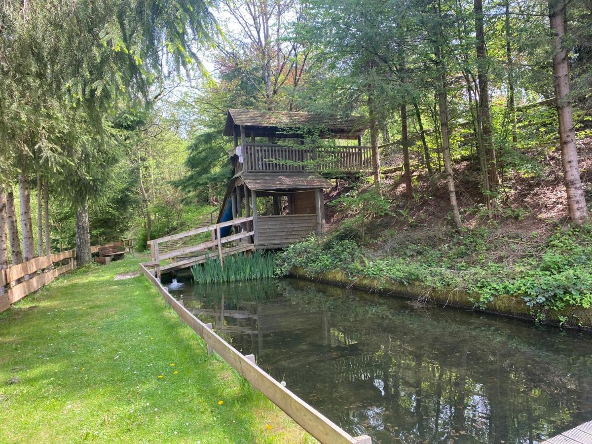 Hotel-Restaurant Theis-Muehle Biersdorf am See ภายนอก รูปภาพ
